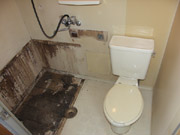 �}���V���� ���j�b�g�o�X �{�H�O